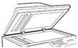 SHARP MX-B382SC - - 1 Legen Sie die Originale ein. - 3