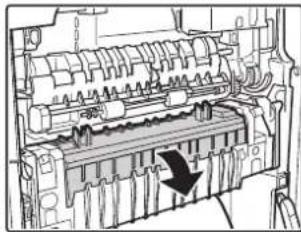 SHARP MX-B382SC - Papierstau in der Fixiereinheit - 1