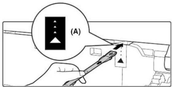 (A)