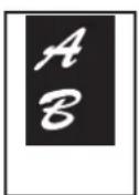 SHARP MX-B382SC - KOPIEREN IN DER MITTE DES PAPIERS (Zentrieren) - 1