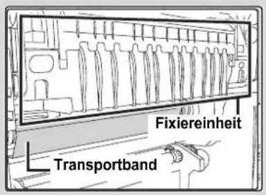 Fixiereinheit Transportband