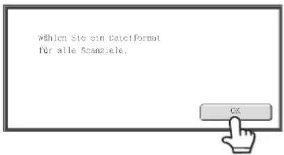wählen Sie ein Datenformat für alle Scanziele.