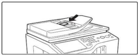 SHARP MX-C312 - (Visitenkartenscan) - 1