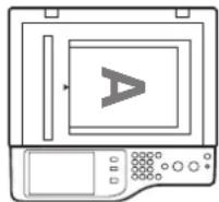 SHARP MX-C312 - Einzelblatteinzug - 2