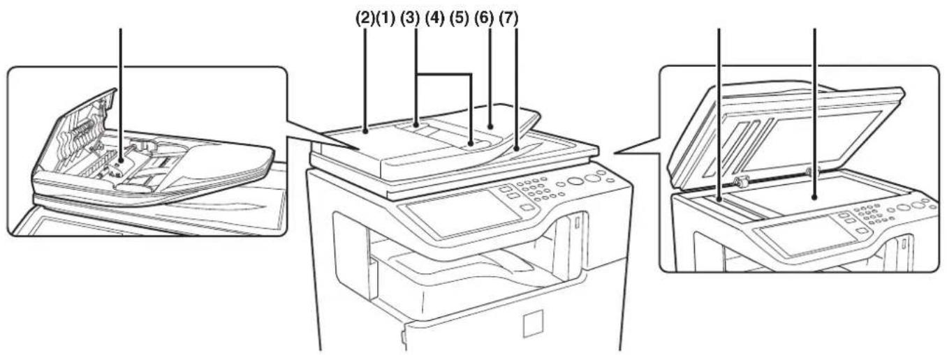 (2)(1) (3) (4) (5) (6) (7)