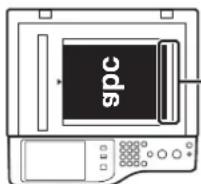 SHARP MX-C312 - Legen Sie das Original ein. - 1