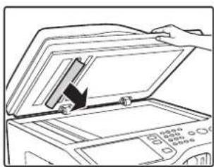 SHARP MX-C312 - ENTFERNEN EINES PAPIERSTAUS - 5