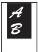 SHARP MX-C312 - KOPIEREN IN DER MITTE DES PAPIERS (Zentrieren) - 1