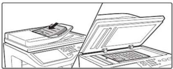 SHARP MX-C312 - SENDEN EINES BILDES IM SCAN-MODUS - 2