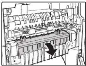 SHARP MX-C312 - Papierstau in der Fixiereinheit - 1