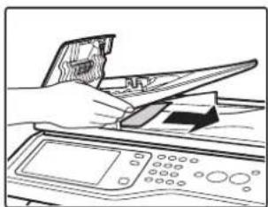 SHARP MX-C312 - ENTFERNEN EINES PAPIERSTAUS - 4