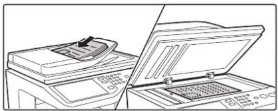SHARP MX-C312 - 2 - 1