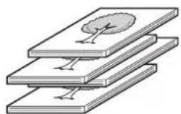SHARP MX-C381 - Versatzfunktion - 1