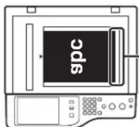 SHARP MX-C381 - Legen Sie das Original ein. - 1