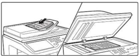 SHARP MX-C381 - Legen Sie das Original ein. - 1
