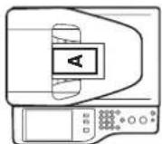 SHARP MX-C381 - Kopierergebnisse der 8-Blatt Layouts - 13