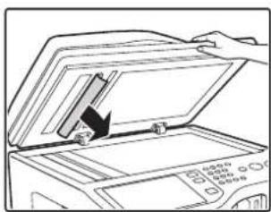 SHARP MX-C381 - ENTFERNEN EINES PAPIERSTAUS - 5