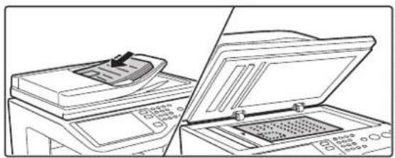 SHARP MX-C381 - 2 - 1