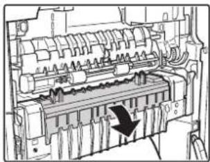 SHARP MX-C381 - Papierstau in der Fixiereinheit - 1