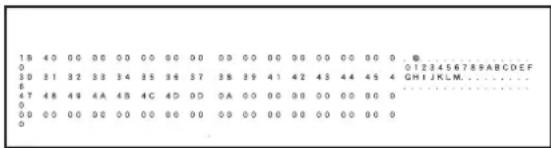 SHARP MX-C381 - Hex-Dump-Modus - 1