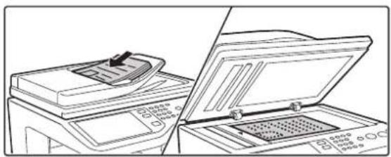 SHARP MX-C381 - SENDEN EINES BILDES IM SCAN-MODUS - 2