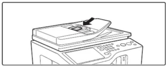 SHARP MX-C381 - VERSENDEN VON VISITENKARTEN (Visitenkartenscan) - 1
