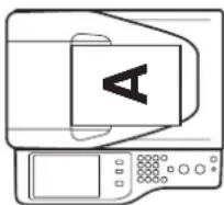 SHARP MX-C381 - Einzelblatteinzug - 1