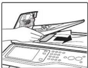 SHARP MX-C381 - ENTFERNEN EINES PAPIERSTAUS - 4