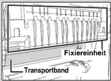 Fixiereinheit Transportband