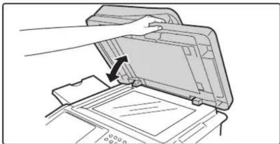 SHARP MX-C382SC - Originale, die nicht über den automatischen Originaleinzug eingelegt werden können - 1