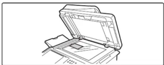 SHARP MX-C382SC - WIEDERHOLEN VON FOTOS AUF EINER KOPIE (Foto-Wiederholung) - 6
