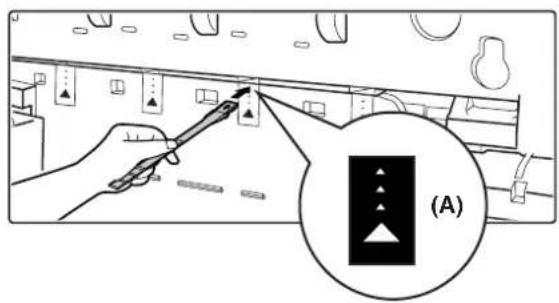 (A)
