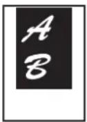 SHARP MX-C382SC - KOPIEREN IN DER MITTE DES PAPIERS (Zentrieren) - 1