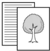 SHARP MX-C382SC - AUTOMATISCHES SCANNEN BEIDER SEITEN EINES ORIGINALS (2-seitiges Original) - 3