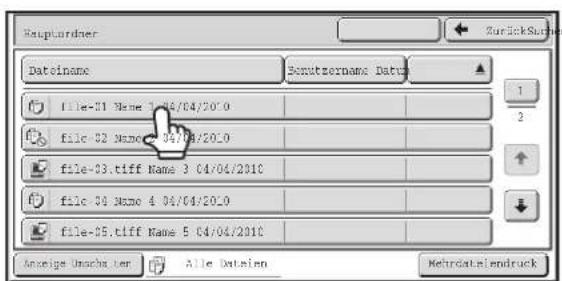 Hauptardner Dateiname Bouztername Data file-31 Name 1 04/04/2010 file-32 Name 4 04/04/2010 file-33.tiff Name 3 04/04/2010 file-34 Name 4 04/04/2010 file-35.tiff Name 5 04/04/2010 Anzeige Anschr. der Alle Datenien ZurückSumme 1 2 ↑ ↓ Mehrodatkendruck