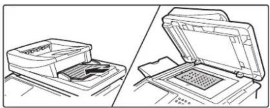 SHARP MX-C382SC - Legen Sie das Original ein. - 1