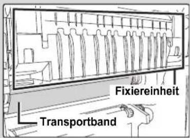 Fixiereinheit Transportband