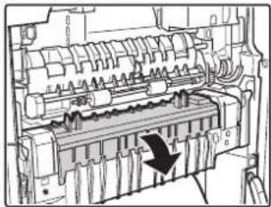 SHARP MX-C382SC - Papierstau in der Fixiereinheit - 1