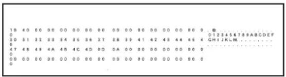 SHARP MX-C382SC - Hex-Dump-Modus - 1
