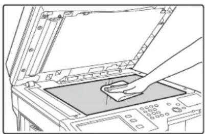 SHARP MX-M264N - Vorlagenglas Dokumentenabdeckung - 1