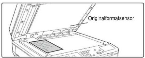 Originalformatsensor