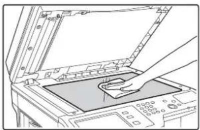 SHARP MX-M314N - Vorlagenglas Dokumentenabdeckung - 1