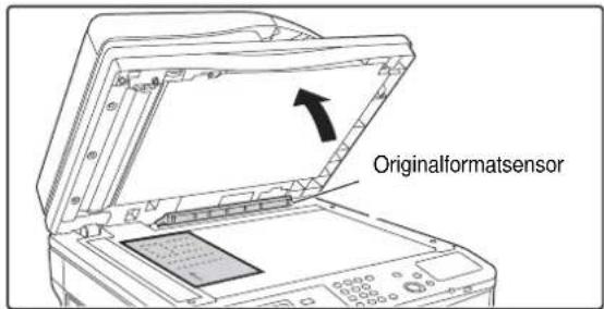 Originalformatsensor