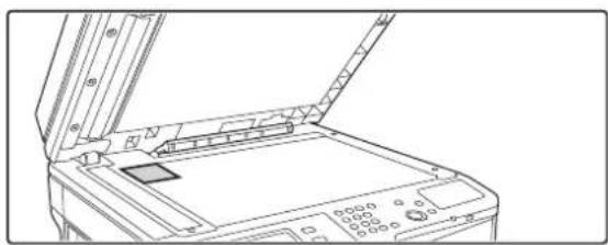 SHARP MX-M314N - KOPIEREN BEIDER SEITEN EINER KARTE AUF EIN BLATT (Kartenbeilage) - 3