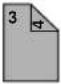 SHARP MX-M314N - Trennblätter (Kopieren von beidseitigen Originalen) - 25