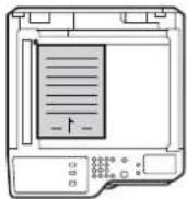SHARP MX-M354N - Legen Sie das Original ein. - 3