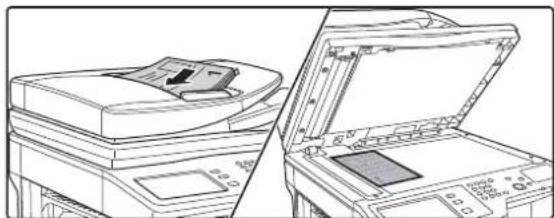 SHARP MX-M354N - Legen Sie das Original ein. - 1