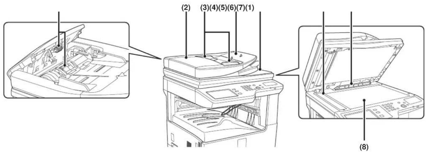 SHARP MX-M354N - Automatischer Originaleinzug - 1