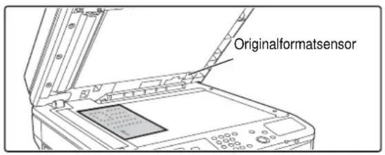 Originalformatsensor