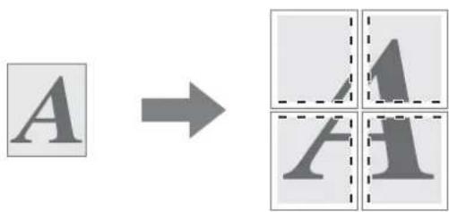 A → A